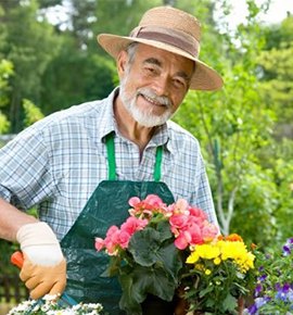 A man is trimming his garden.
